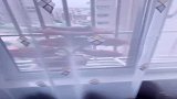 打开窗户，发现你倒是会省事啊！找了个好地方！