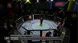 UFC格斗之夜185：谢尔盖-斯皮瓦克VS杰拉德-范德拉