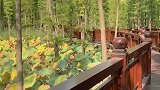 潘安湖湿地公园来吗？