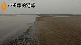 小伙赶海发现了什么 让他高兴的飙英文