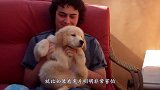 狗狗偷偷看恐怖片，被主人录下全过程，看完忍住不要笑
