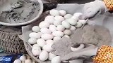 广西媳妇买的这鸡蛋是怎么回事，是变异了吗，怎么这么多的蛋黄的