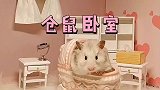 你们期待已久的这个房间终于来啦