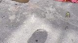 门口路面正在施工，出入只能靠挖机铲