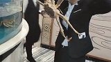姑娘一点也不斯文，居然敢亲大螃蟹，也不怕夹了你的嘴