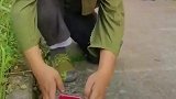 让你一边吃一边扔，遭报应了吧