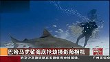 巴哈马虎鲨海底“抢劫” 用嘴叼走摄影师相机