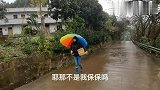 烟雨蒙蒙的大姐取个快递，一个朋友寄来的，从来没有见过特希奇