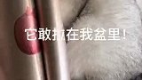 偷看人家还骂人家，老大也不讲理