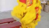 俩小孙子舞狮为爷爷庆祝生日