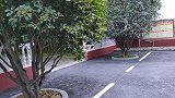 八月桂花二度开，迷人花香香满院，庆丰收过双节，家人一起乐团圆