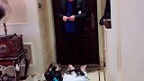 携家并带口