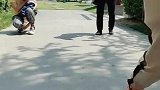宝宝永远只会认自己的妈妈，世上只有妈妈好