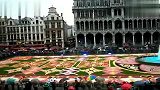 旅游-2010布鲁塞尔鲜花地毯