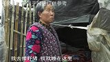 庄稼多次被野猪糟蹋，老人设陷阱捕杀，结果却触犯法律被告上法庭