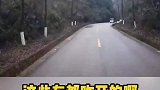 短短一段路，这些司机都是咋想的啊