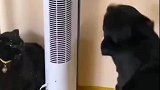 网络喷子都是狠人啊