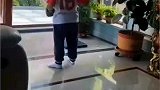 习武之人难免磕磕碰碰，这是在练拳还是铁头功？