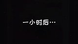 一定要看到最后 星探家 猫 吸猫 萌宠
