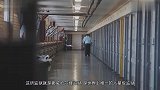 300亿美元建的八星级监狱，有美女相伴，犯人都不想出来了