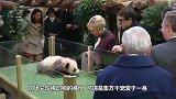 熊猫为喝盆盆奶企图越狱，下秒发生的事，大家憋住别笑！