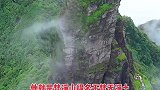 它被誉为“地球绿洲”、“动植物基因库”、“人类的宝贵遗产”。