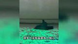 男子夜划汉江救起跳桥女子：水里挣扎后不动了，晚一步她都不行了