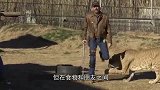 男子和棕熊合影，露出诱人的脖子，这下就摊上大事了！