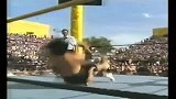 WWE-14年-1993年《摔角狂热9》上-全场