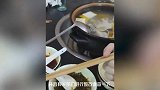 鸭肉里吃到苍蝇卵商家说是油脂？当事人：已打12315