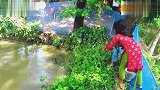 四岁小孩钩鱼，鱼一条接一条上钩，这钓鱼技术怕大人也比不上