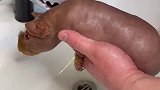 迷你小河马搓澡记