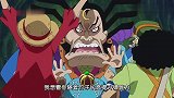 《海贼王》草帽一伙的问题一个比一个离谱，忍者雷藏吓得直冒汗