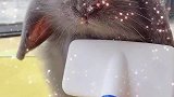 小时候和长大后的变化