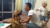 二妹和象象玩躲猫猫，象象还时不时的偷亲霸霸，真像个小孩儿