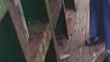 一打金，二打银，三打四打保佑出海人，五打挣个聚宝盆