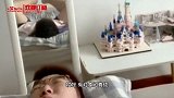 搞笑配音：你们的嘴被咬成过这样吗 也不知道蚊子是公是母