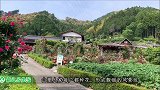 森山里的“世外桃源”！免费游览都是花的村落，一道靓丽的风景线