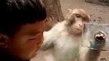 不是喂我吃嘛，自己怎么都吃了