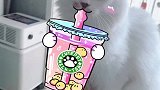 萌宠喝奶茶猫咪日常