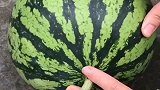 挑选西瓜的小技巧来了，看完视频的你学会了吗？快去试试吧
