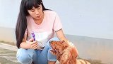 看到最后，好想哭