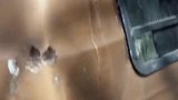 绑匪做梦也没想到自己被一只狗给秀翻了