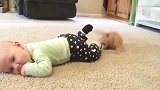 狸花猫：人类幼崽可真好玩啊