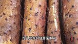 今天才发现，山药去皮原来这么简单，不浪费又环保，真是太厉害了
