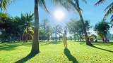 深圳湾公园一出地铁就能看海的地方，海风，花丛，椰林…你来过吗