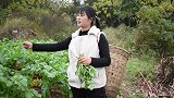 丫丫买了20只虾，做香辣干锅虾，又辣又香，大口吃，真过瘾