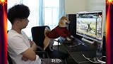 这不是电子厂招工视频谁信呐