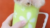 五个月你咋还这么小
