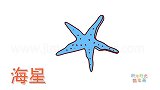 动物简笔画大全，画蓝色海星简笔画